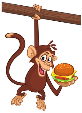 Cartoon funny monkey chimpanzee holding hamburger or cheeseburger in his hands. Vector illustration of happy monkey character design isolated.