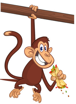 Cartoon funny brown monkey chimpanzee burrito or wrap. Vector illustration isolated on white
