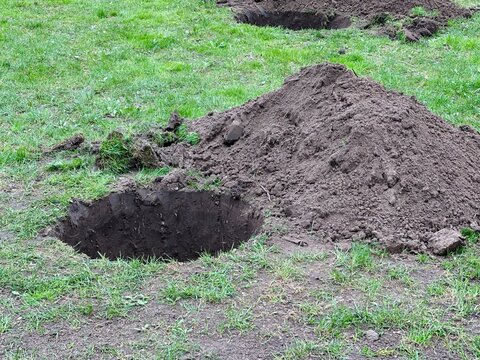 a hole dug in the park for planting new young trees. landscaping concept. Warm weather for planting trees close-up. Manual planting of a seedling