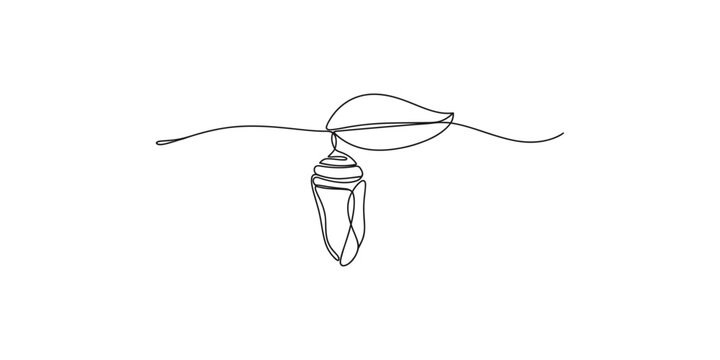 Continuous line drawing of conch shell with leaf on a string one art minimalist simple