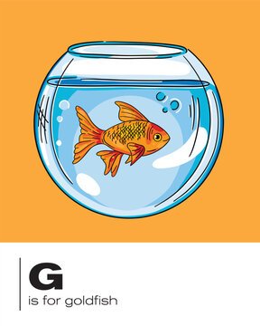 G os for goldfish flash card vector illustration for education and classroom posters