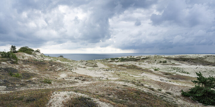 view from the Curonian Spit from the height of Efa