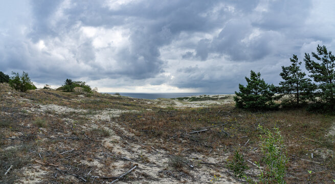 view from the Curonian Spit from the height of Efa
