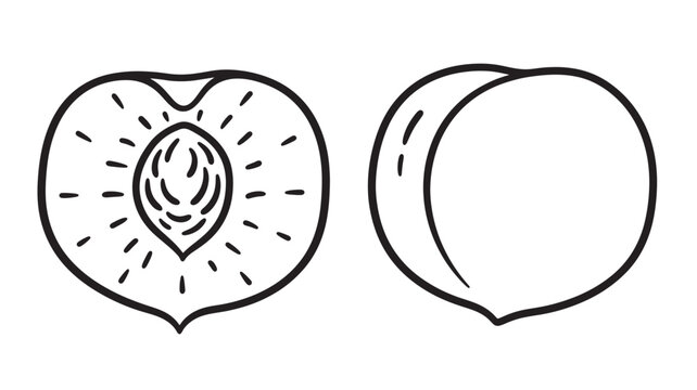 Peach outline, showing a whole fruit and a half fruit with pit details, isolated on a white background
