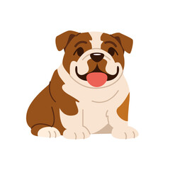 Fototapeta premium Cute English Bulldog Dog Sitting Isolated on White Background. Clipart Pet. Flat Vector Illustration.