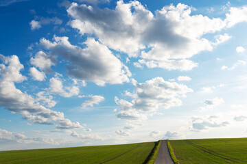 Fototapeta premium White clouds on a blue sky over green field