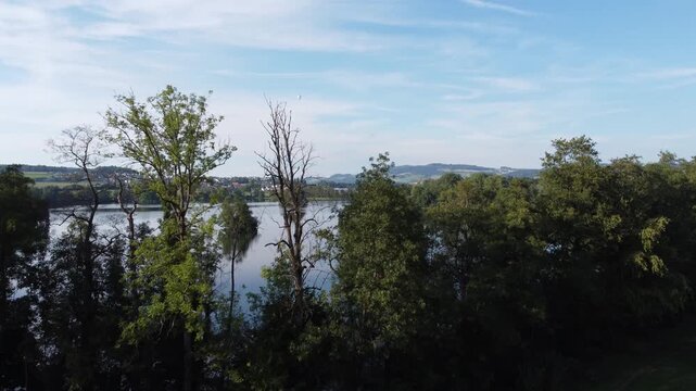 Drohnenaufnahme am Sempachersee