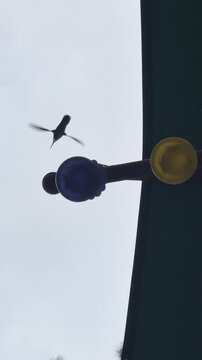 Colibr&iacute;es volando en c&aacute;mara lenta, capturando el aleteo r&aacute;pido y preciso mientras se alimentan del bebedero.
