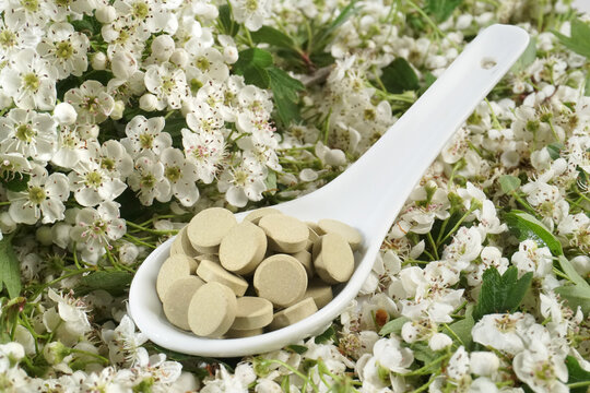 Wei&szlig;dorn mit Bl&uuml;ten und Tabletten