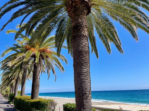 A sunlit seaside promenade in Varigotti, Italy, lined with tall palm trees.