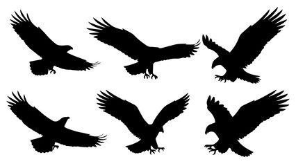 Obraz premium Powerful Eagle Silhouettes in Dynamic Flight and Hunting Poses