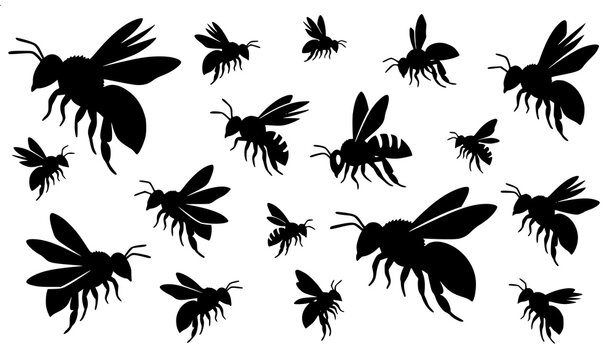 Stylized bee silhouette collection with flying insect poses black vector illustration set
