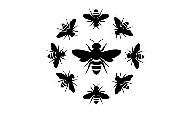 Bee silhouette icon set with Africanized insect shapes black vector collection in circular layout