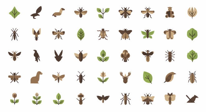 Insects and leaves on white background.