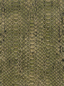 Detailed texture of snakeskin featuring a distinctive scale pattern in earthy tones