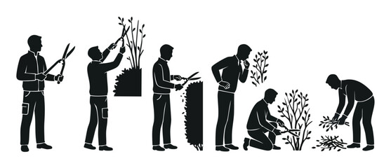 Obraz premium Gardener pruning shrubs silhouette icon set, professional landscaping maintenance process, man trimming plants with shears and collecting garden waste, black and white vector illustration of yard work