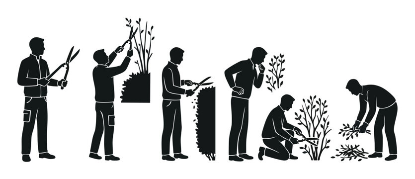 Gardener pruning shrubs silhouette icon set, professional landscaping maintenance process, man trimming plants with shears and collecting garden waste, black and white vector illustration of yard work