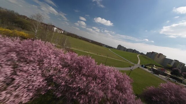 Park in city drone fpv shot