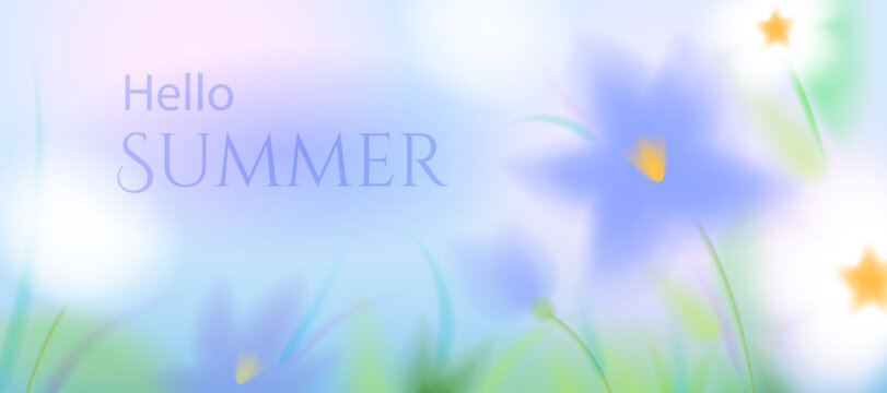 A summer poster with blue and white flowers and the caption "Hello, Summer" A close-up of a floral  of leaves and flowers with space for text.A soft,blurred gradient vector background with wildflowers