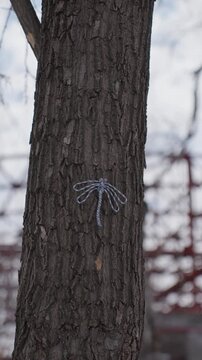 Close Tree Trunk With Rope Mark, Winter Urban Park Backdrop, Frayed Twine Tied Into Palmlike Motif Against Dark Bark, Muted Sky And Bare Branches, Tactile Texture And Intimate Detail, Calm