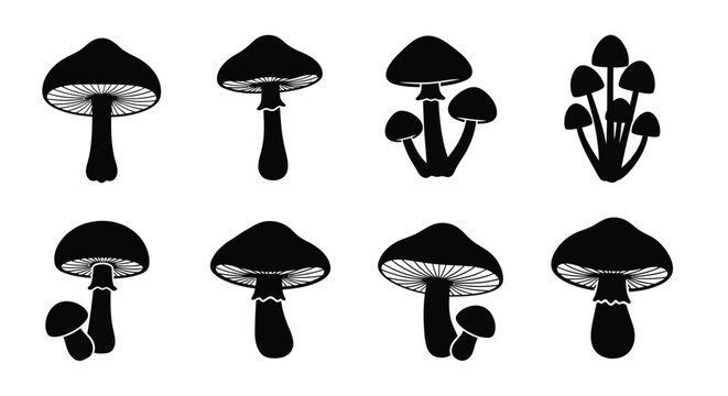 Various mushroom shapes displayed as a black graphic silhouette