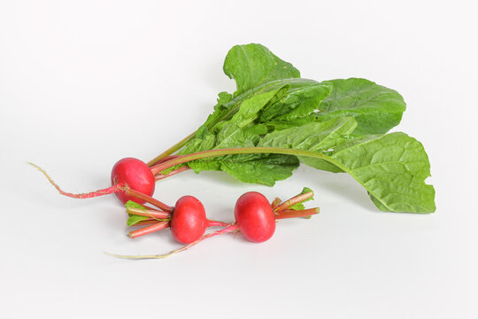 Fresh Chinese vegetables and cherry radishes