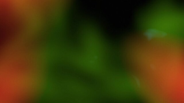 Abstract light leak effect with glowing orange and green hues. Blurred background texture for overlay compositing film with cinematic lens flare effect