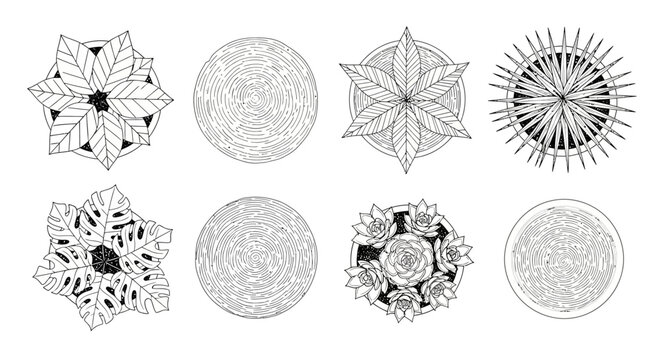 Minimalist architectural tree symbols top view, set of 8 landscape design plant icons, black and white garden plan vegetation vector elements