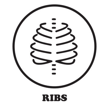 Rib Cage Icon