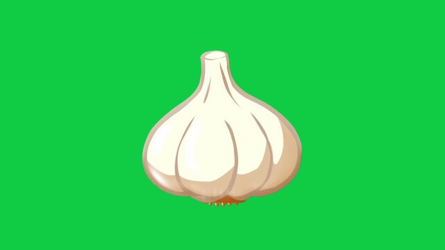 2D Animated Whole Garlic Bulb with Natural Texture for Cooking Ingredient