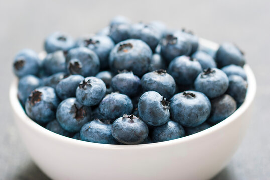 bilberry fruits at china bowl, on dark wood table