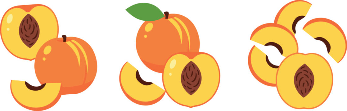 Peach fruit collection whole and sliced juicy summer fruit cartoon vector illustration set of fresh healthy food isolated on light background