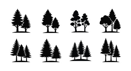 Obraz premium Collection of coniferous and deciduous trees in a dark silhouette