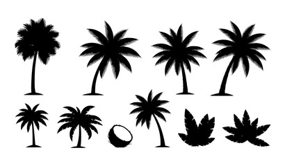 Obraz premium Tropical palm tree silhouettes set with coconut trees beach summer island vector collection