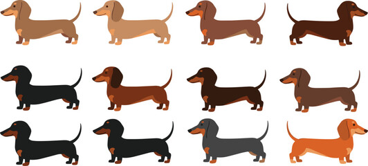 Dachshund dog cartoon collection vector illustration with different colors and poses, cute sausage dog characters set for pet design and animal themes © Yevhenii creative