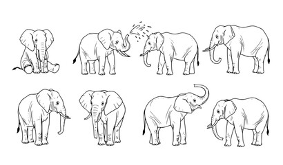 Minimalist Hand Drawn Elephant Pose Set Vintage Ink Sketch Wildlife Illustration Collection © Chiron
