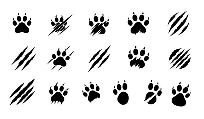 Obraz premium A set of black paw prints and claw marks on a white background