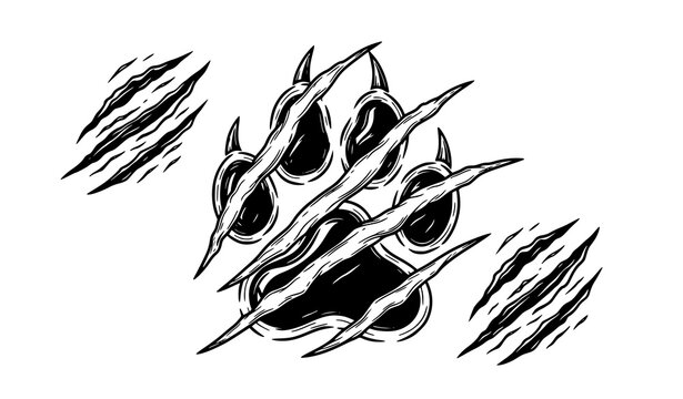 A black and white vector graphic of a bear claw mark