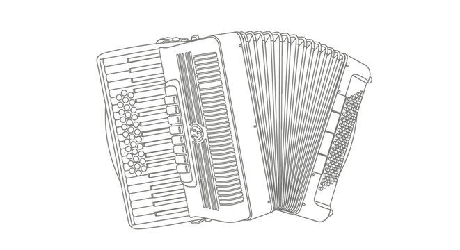 Accordion instrument illustration musical accordion drawing