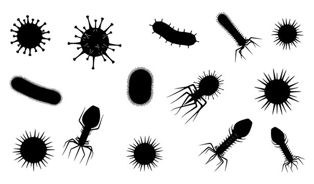 A set of black silhouettes of various microscopic organisms and bacteria