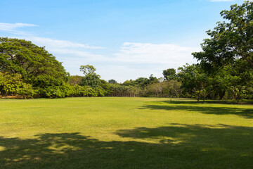 Obraz premium Wide green field with blue sky, open park landscape with natural copy space