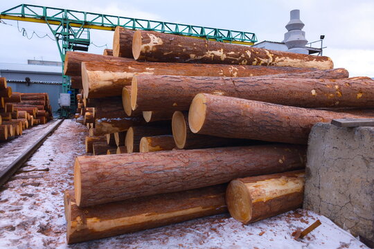 Stacks of cut tree logs at a lumber yard in winter season with machinery in the background and snow on the ground