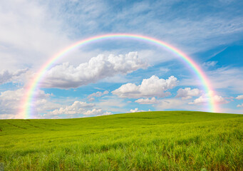 Fototapeta premium Green grass field and bright blue sky with rainbow
