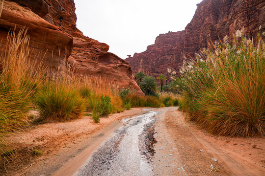 The majestic sandstone mountains of Wadi Al Disah near Tabuk in Saudi Arabia