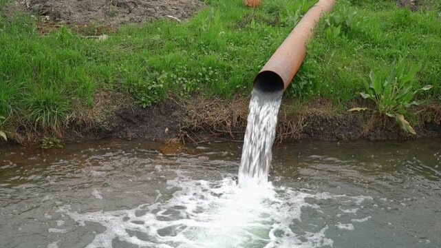 An industrial outfall pipe pours contaminated water into a canal amid green vegetation highlighting water pollution.