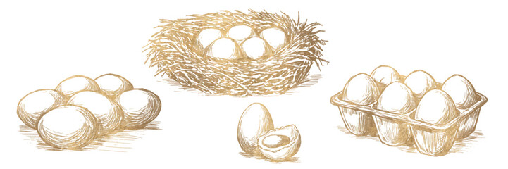 Golden eggs in vintage engraving style. Hand drawn farm illustration, perfect for organic food packaging, premium branding, labels, luxury design. Vector © Julia