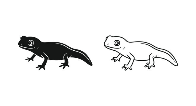 Black White Gecko Lizard Illustration Comparison Vector