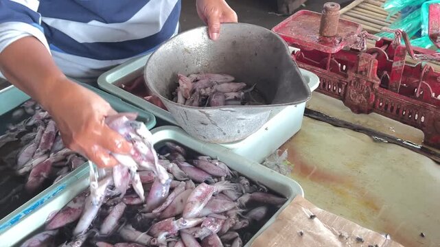 fresh fish market