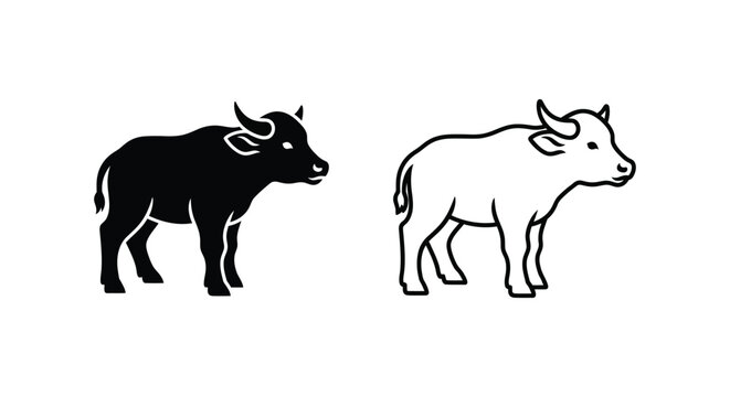 Water Buffalo Breeds: Male vs Female Visual Guide Vector