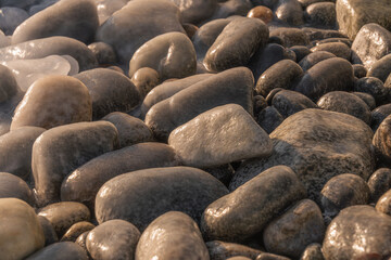 Obraz premium Smooth river stones in various shades of gray and brown scattered across a wet shoreline, glistening under sunlight with gentle waves in the background